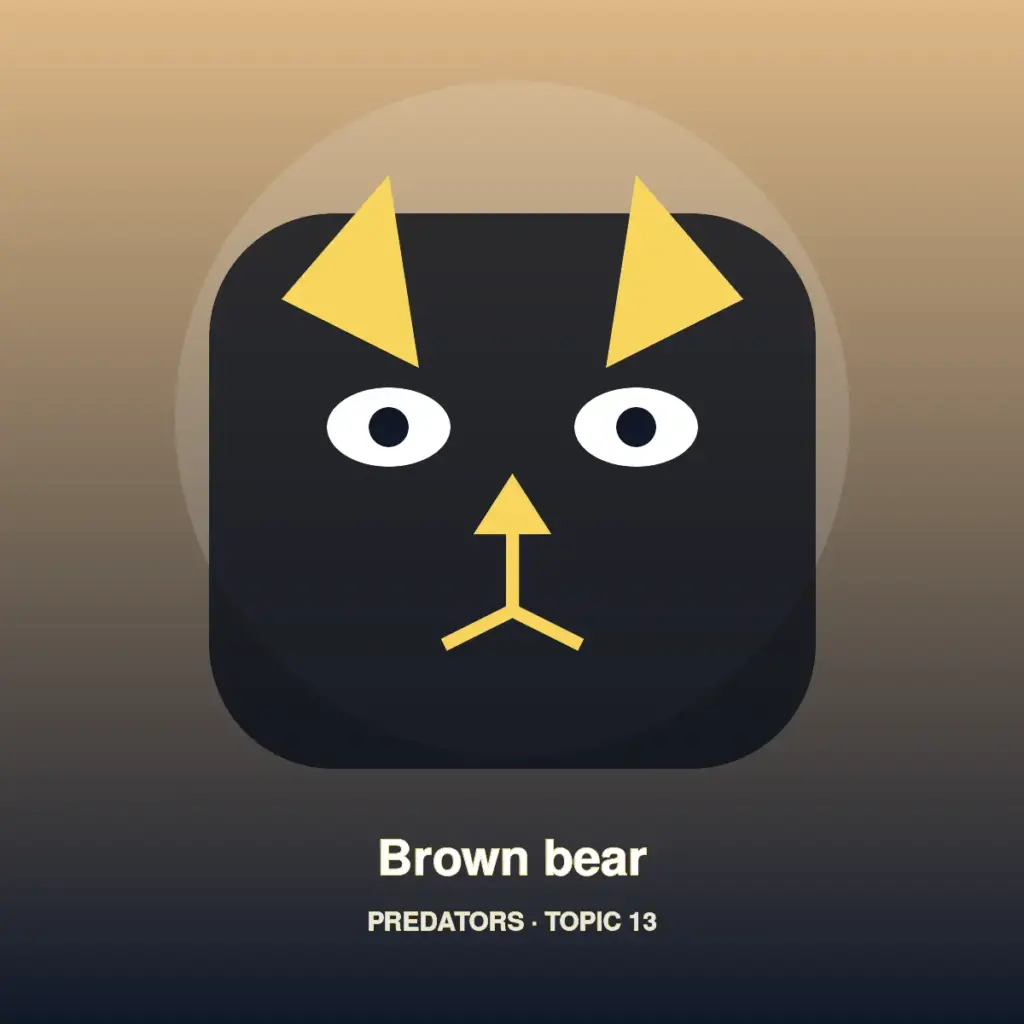 Brown bear