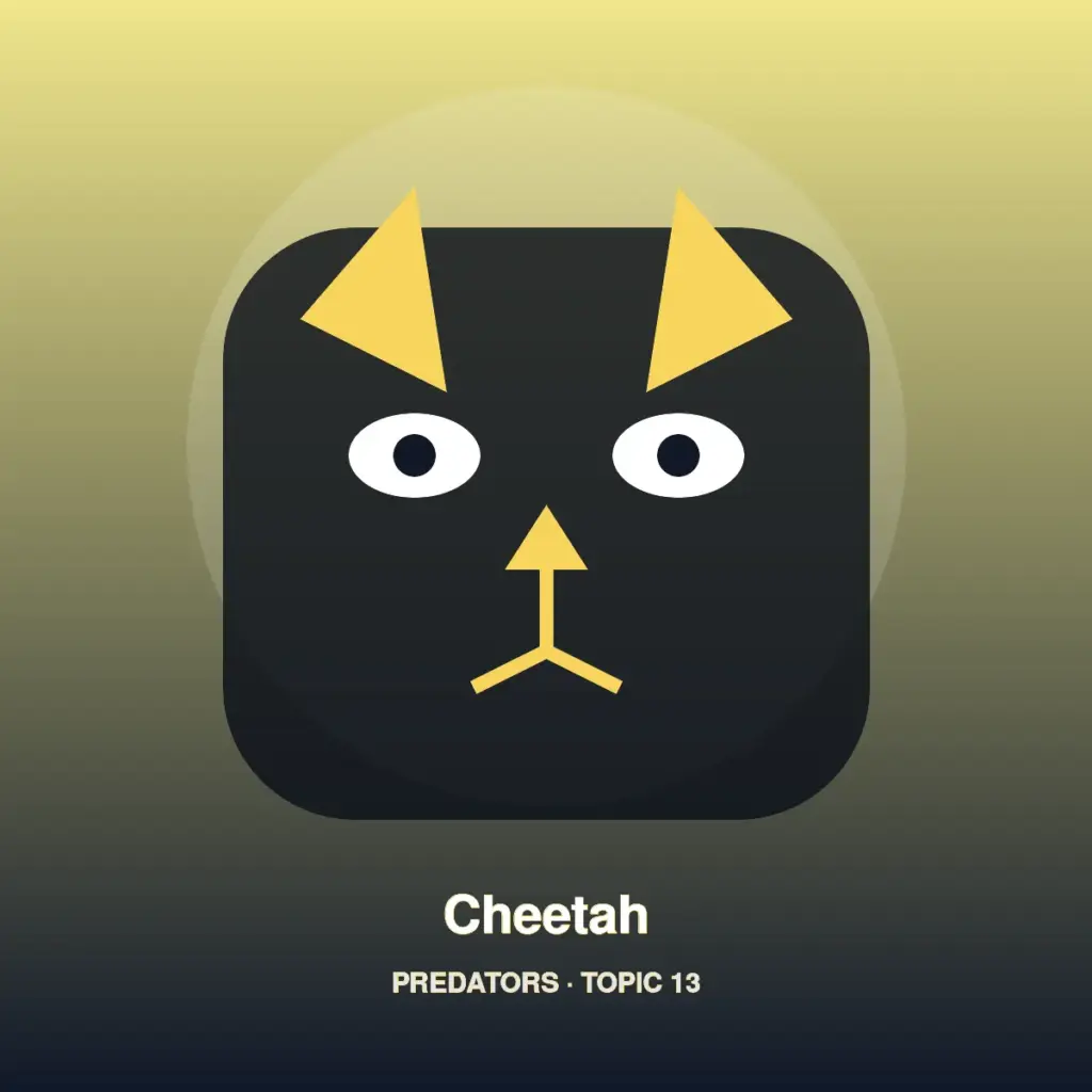 Cheetah