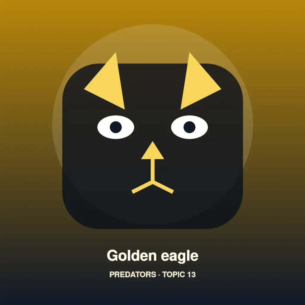 Golden eagle