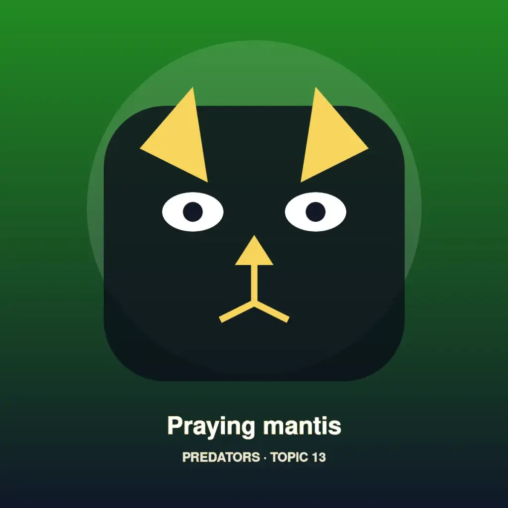 Praying mantis
